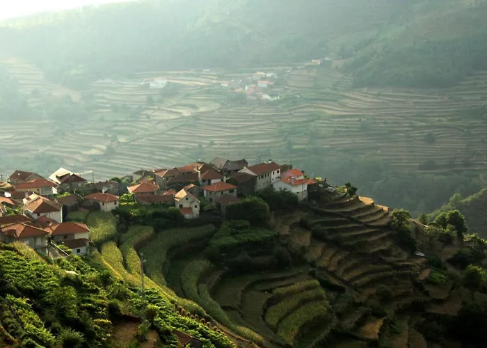 Hotel que admite mascotas: Casa Do Patorrinho